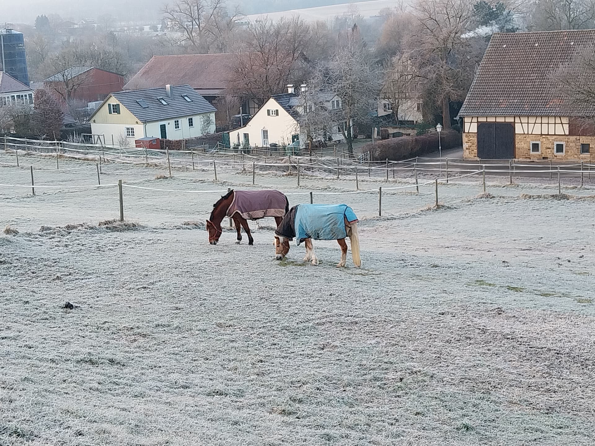 Zwei Pferde mit Decken grasen auf der gefrorenen Koppel, dahinter Häuser und Fachwerkscheune des Hofguts