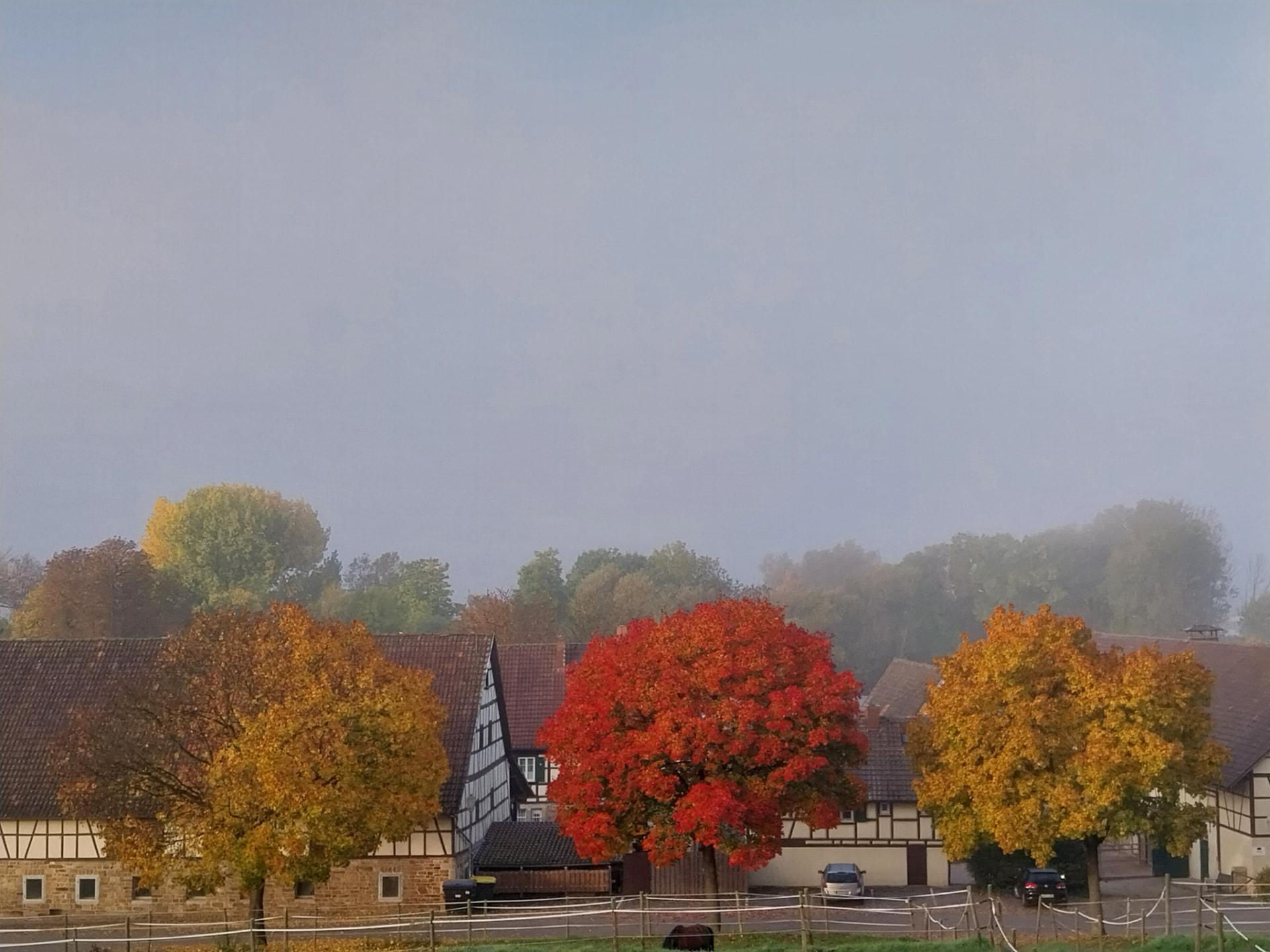 Fachwerkgebäude des Hofguts hinter Koppeln mit rot und gelb gefärbten Herbstbäumen im Nebel