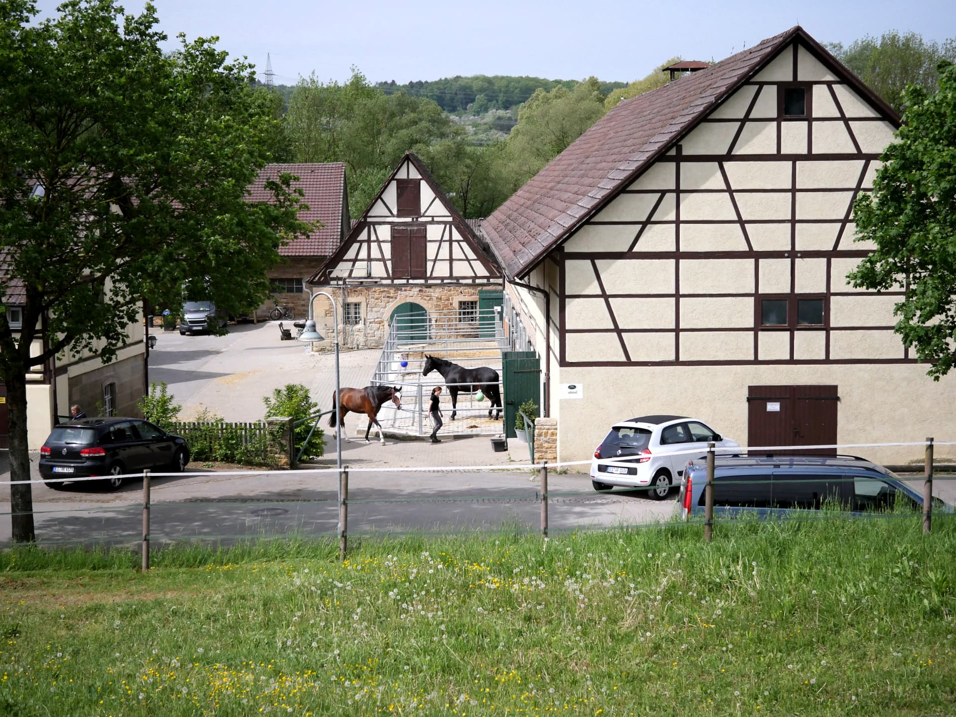 Stallgasse mit Pferden im Paddock am Hofgut