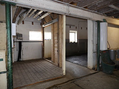 Waschbox mit Warmwasser und an der Decke montiertem Pferdesolarium im Stall II