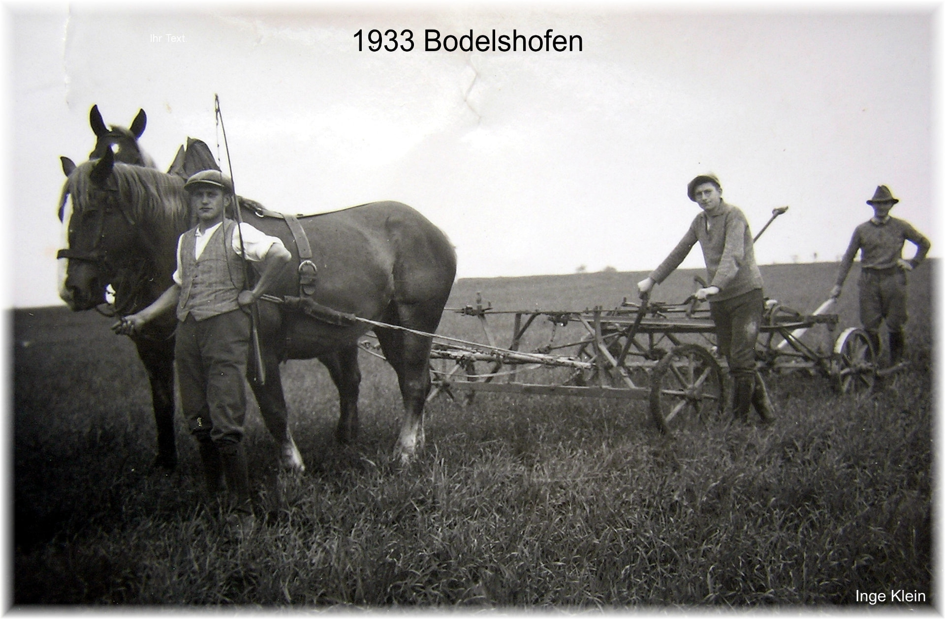 Schwarzweißaufnahme dreier Männer mit einem von zwei Kaltblütern gezogenen Ackergerät auf einem Feld
